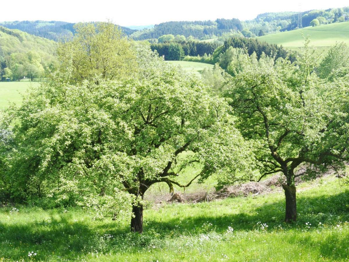 Kleine Villa Im Wilden Garten Gummersbach Exterior photo