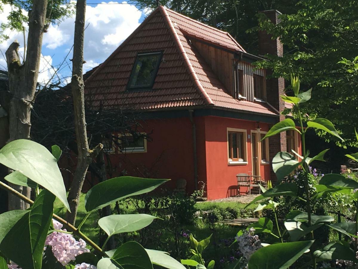 Kleine Villa Im Wilden Garten Gummersbach Exterior photo